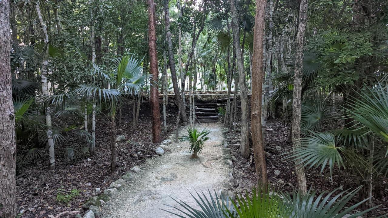 Exclusive Penthouse By Famous Interior Designer By Yeah Apartment Tulum Bagian luar foto
